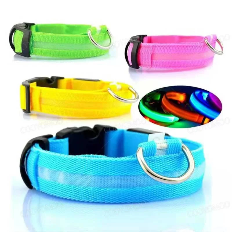Collier lumineux chien poil long