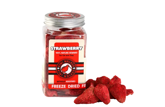 Friandises à la fraise - KIWI WALKER