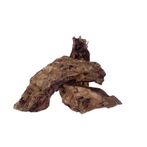 Poumon de Porc