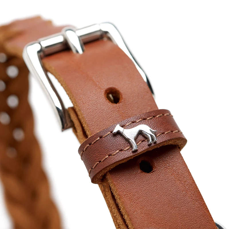 Halsband Solid Education Special