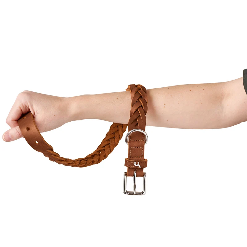 Halsband Solid Education Special