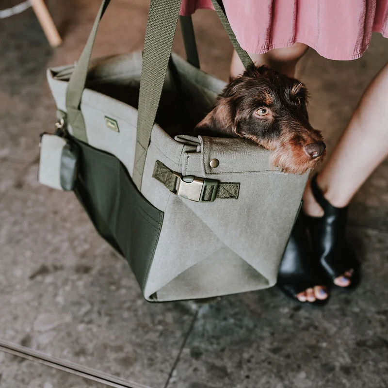 Tragetasche & Hundedecke Madison
