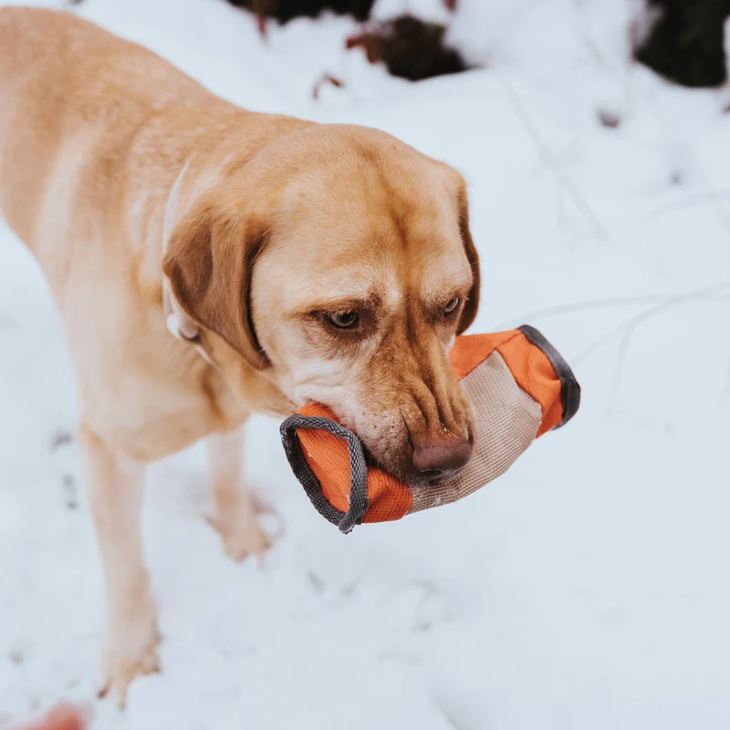 Trainer Snack Dummy Tough Pombas