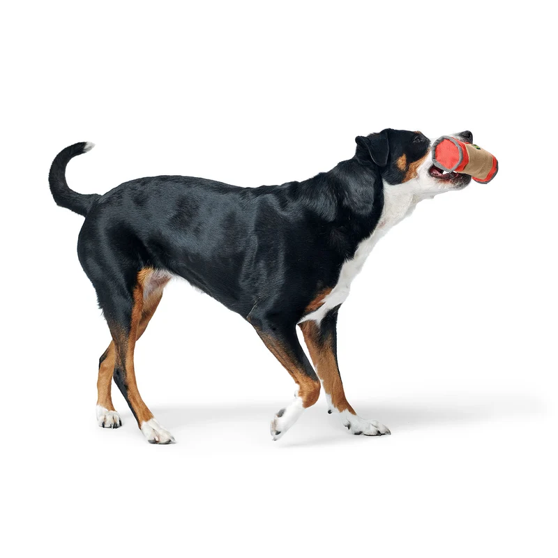Trainer Snack Dummy Tough Pombas