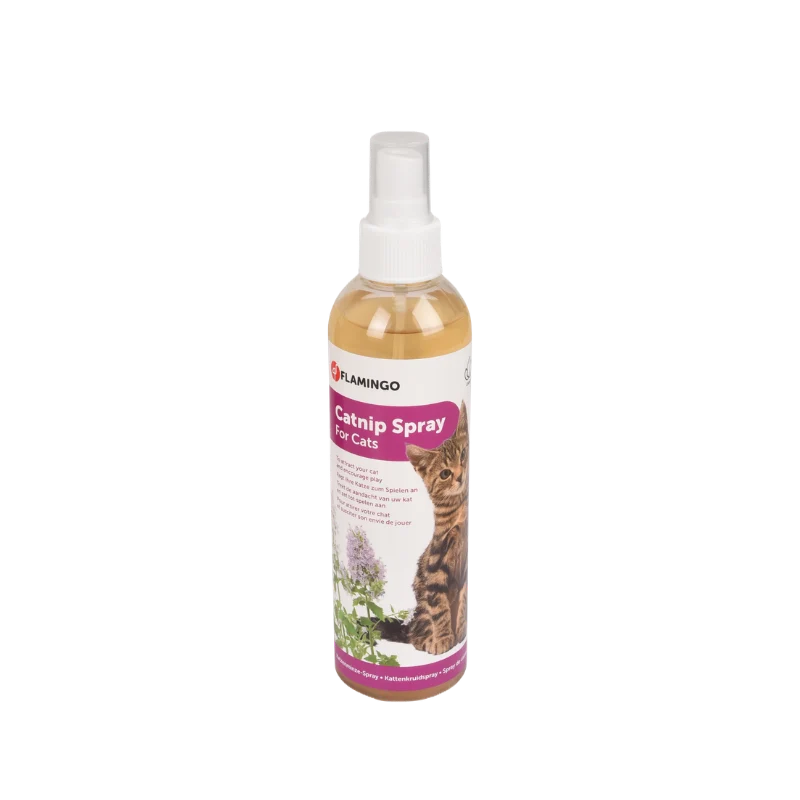 Spray d'herbe à chats