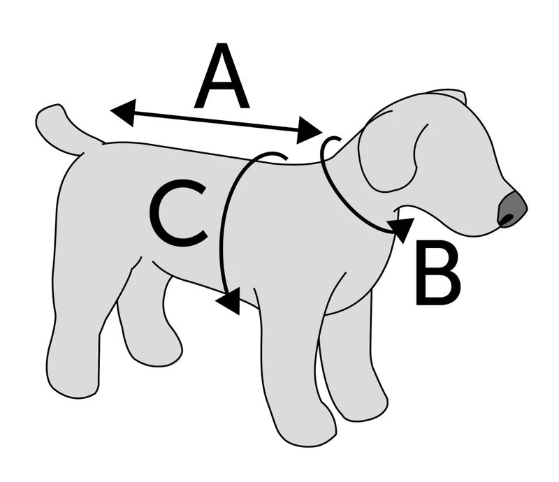 Body pour chiens