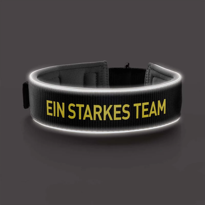 Halsband Neopren Reflect BVB