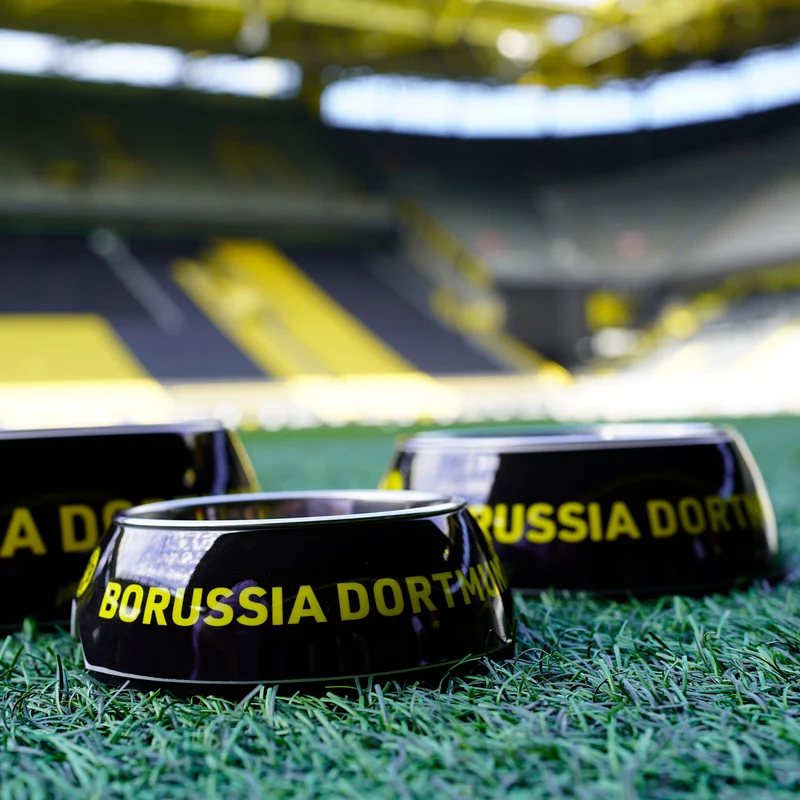 Melamin-Napf BVB