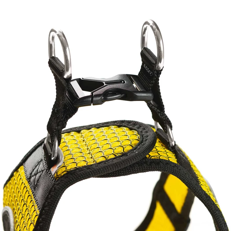 Geschirr Hilo Comfort BVB