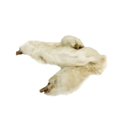 Pattes de lapin avec poils