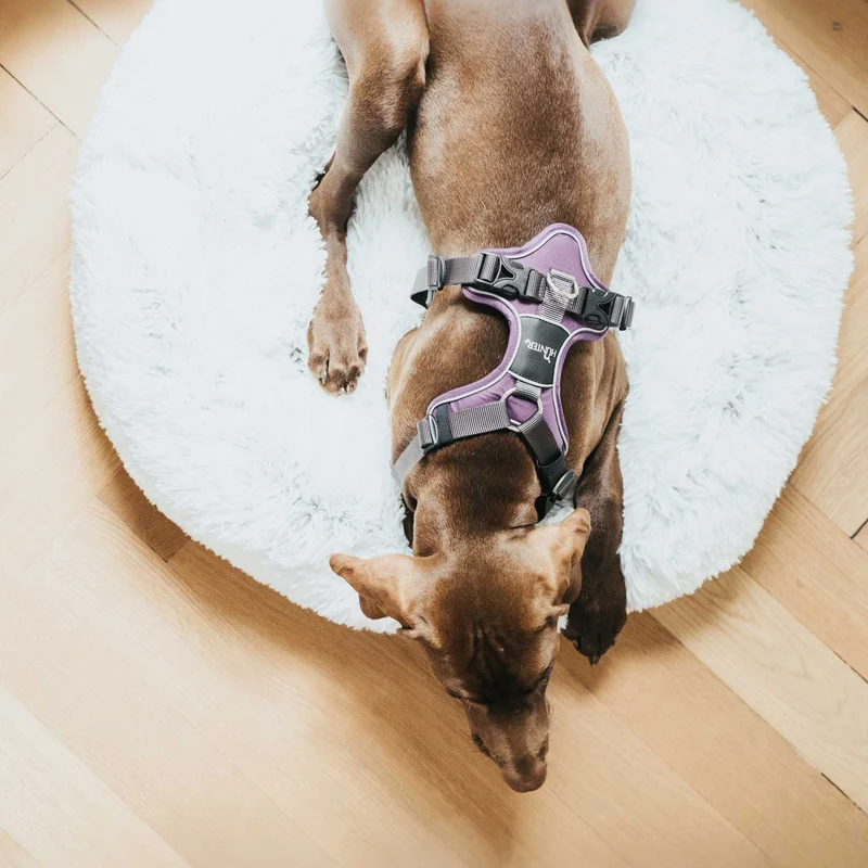 Hundebett Donut Loppa