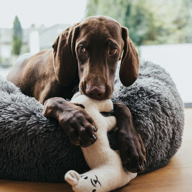 Hundebett Donut Loppa