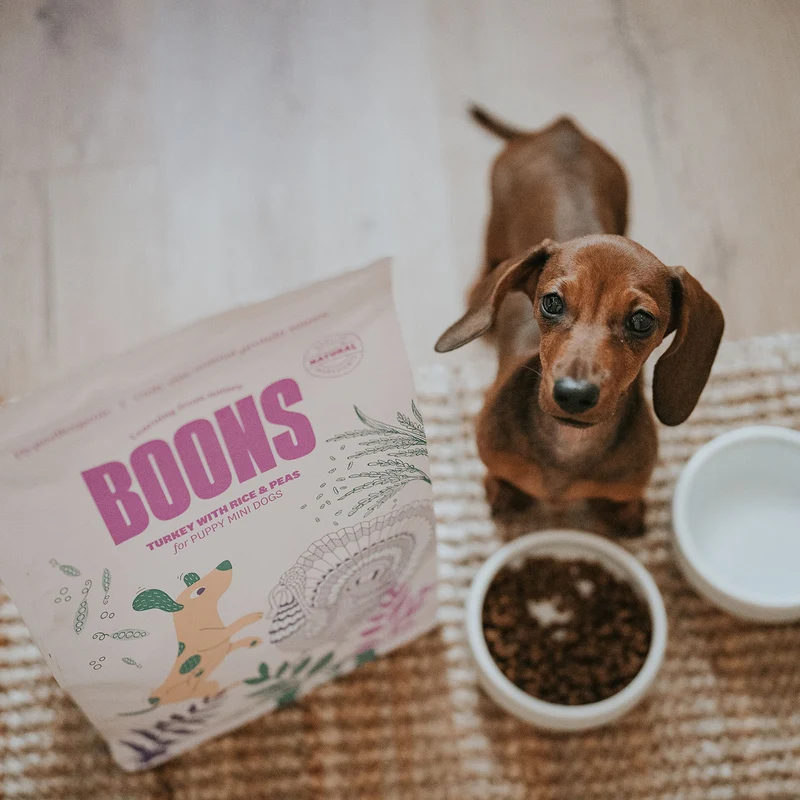 Hundefutter Boons Pute (für Welpen kleiner Rassen)