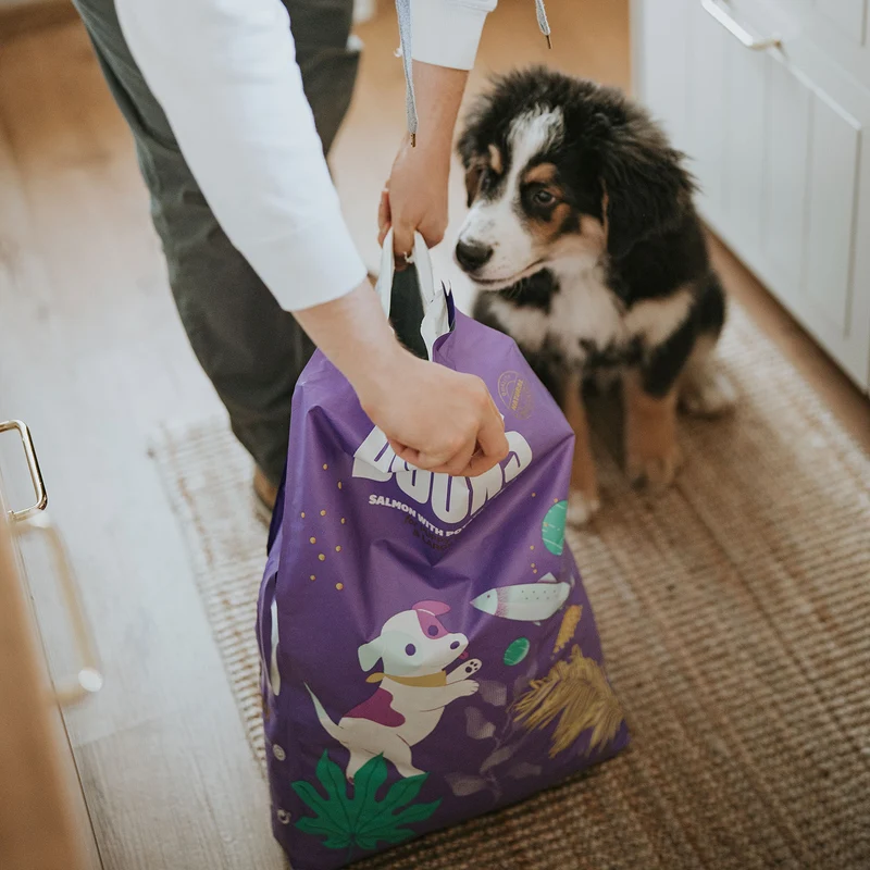 Hundefutter Boons Lachs (für Welpen mittlerer und großer Rassen)