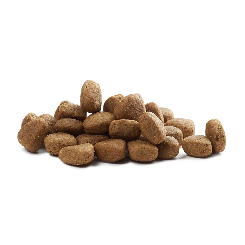 Hundefutter Boons Iberisches Schweinefleisch (für Hunde aller Größen geeignet)