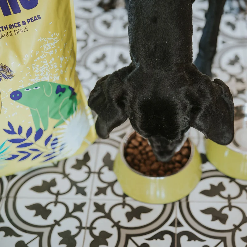 Hundefutter Boons Iberisches Schweinefleisch (für Hunde aller Größen geeignet)