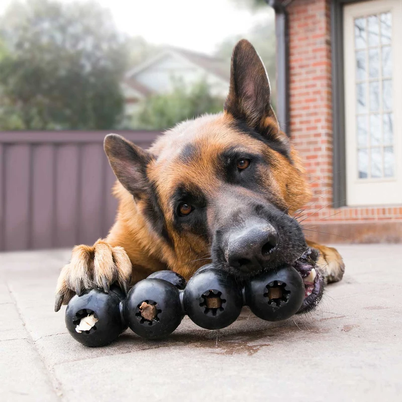 Hundespielzeug KONG® Extreme Goodie Ribbon™
