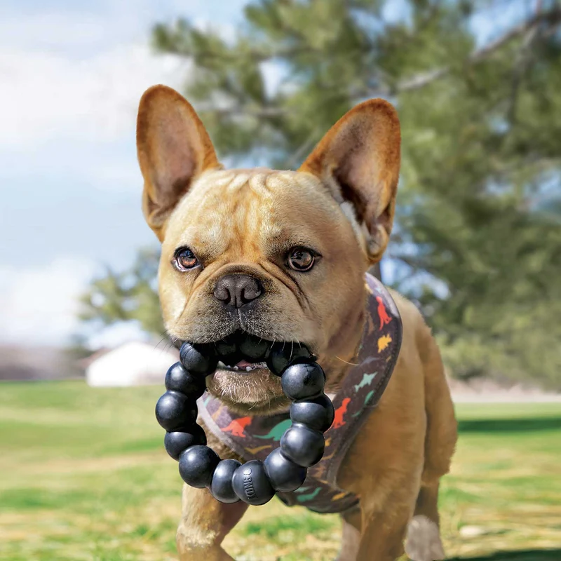 Hundespielzeug KONG® Extreme Ring