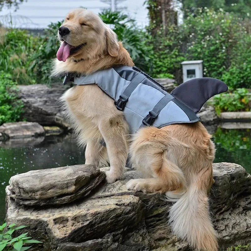 Gilet de sauvetage chien requin