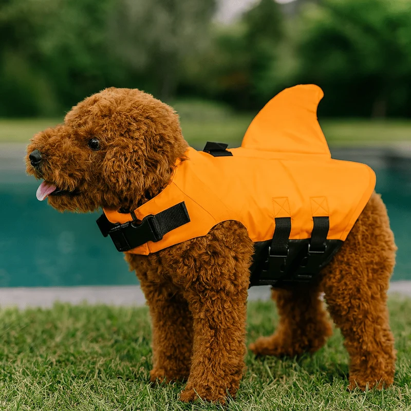 Gilet de sauvetage aileron pour chien
