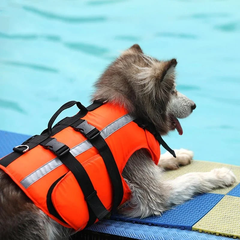 Gilet de sauvetage réfléchissant pour chien