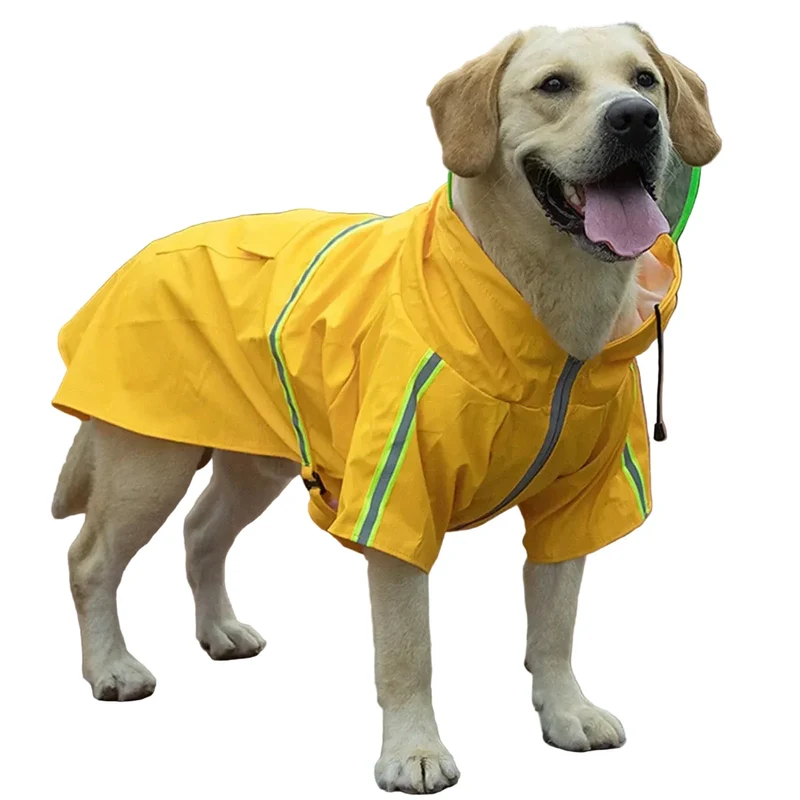 Imperméable voyant pour chien