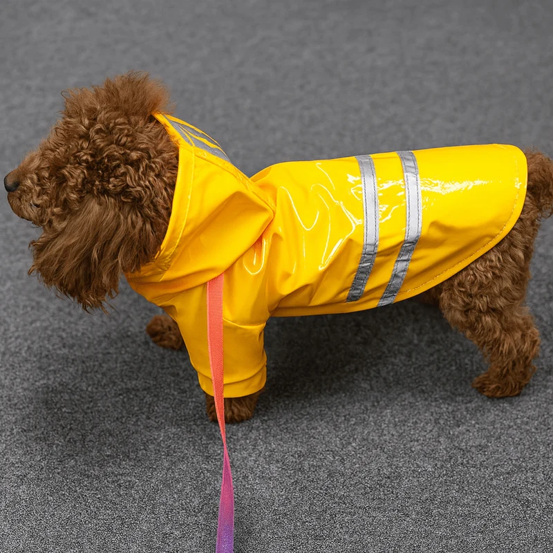 Imperméable mignon pour petit chien