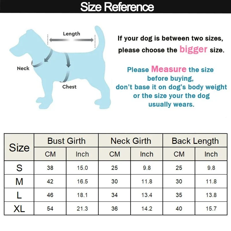 Imperméable mignon pour petit chien