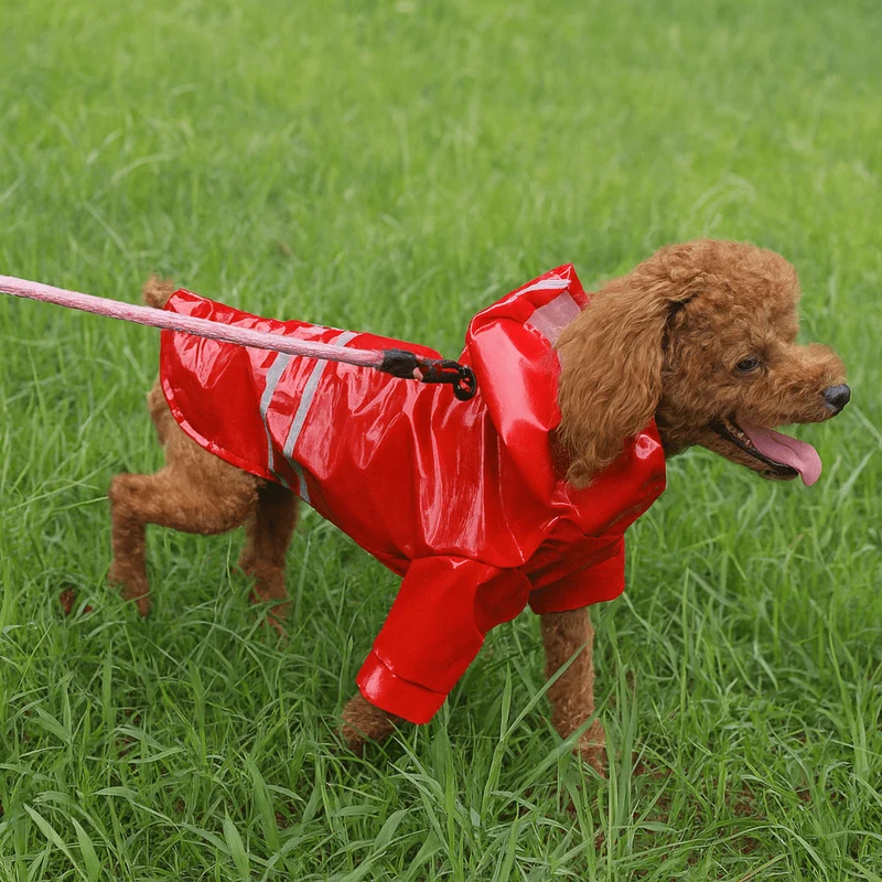 Imperméable mignon pour petit chien