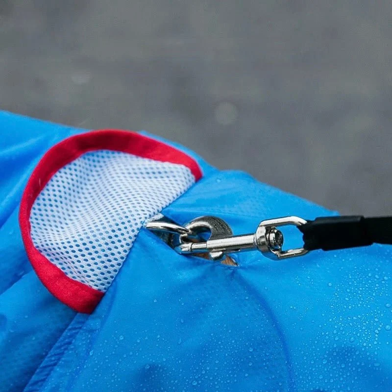 Imperméable requin pour chien