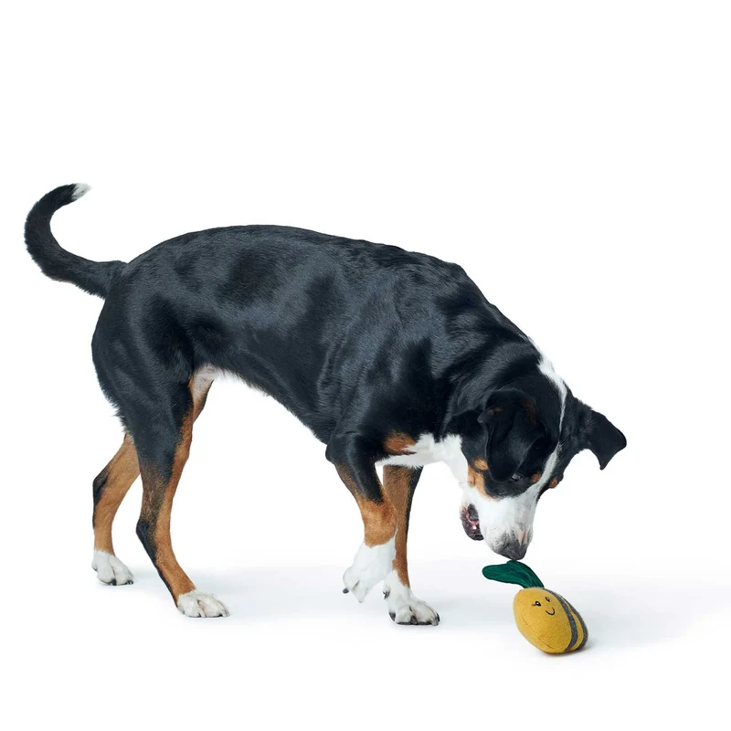 Hundespielzeug Florenz