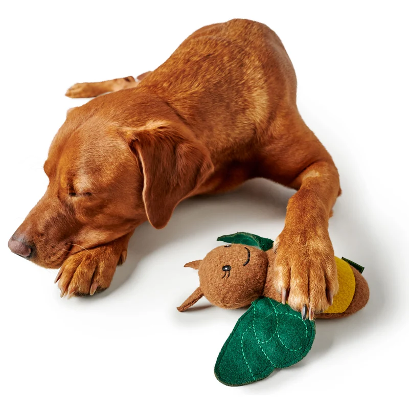 Hundespielzeug Florenz