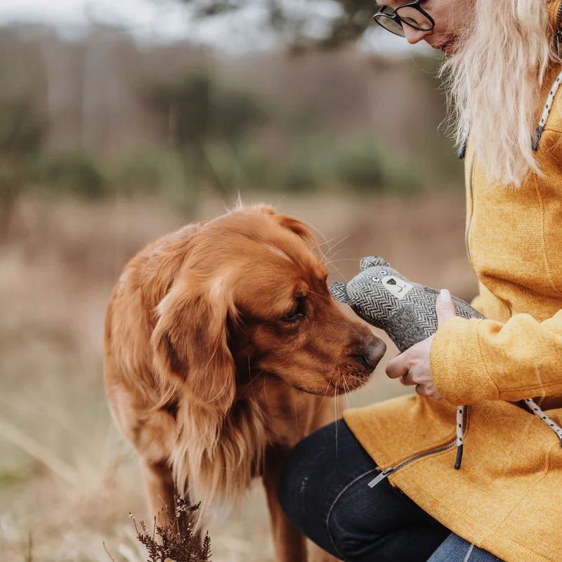 Hundespielzeug Billund