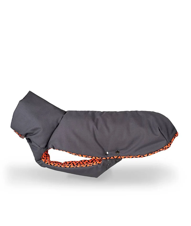 Abrigo de Invierno para Galgo Grey & Er