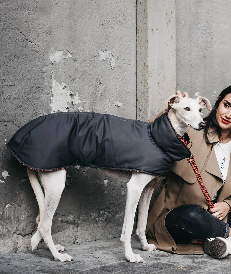 Abrigo para Galgo Grey & Er