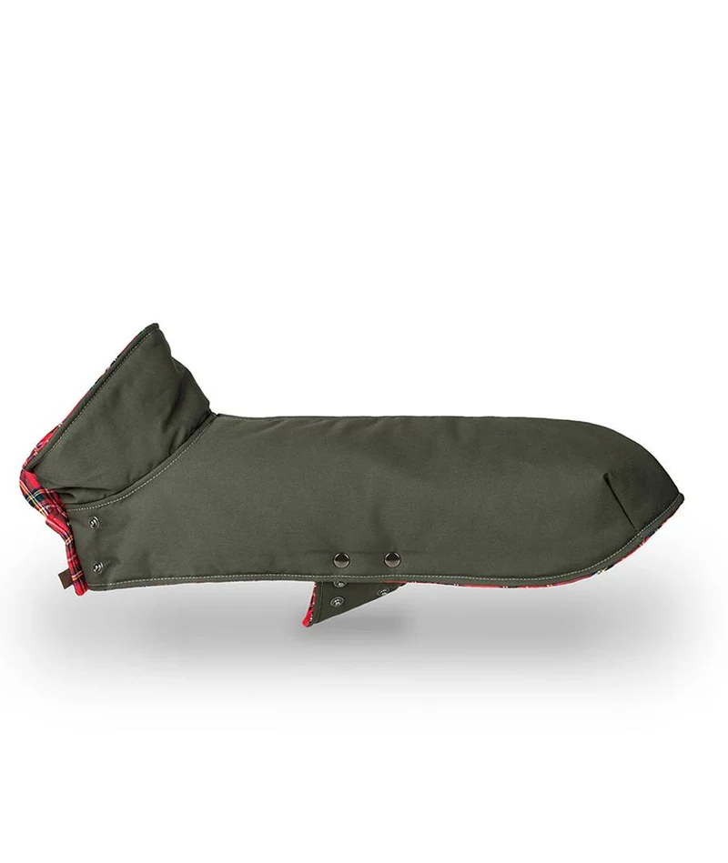Abrigo para Galgo Green & Tremp