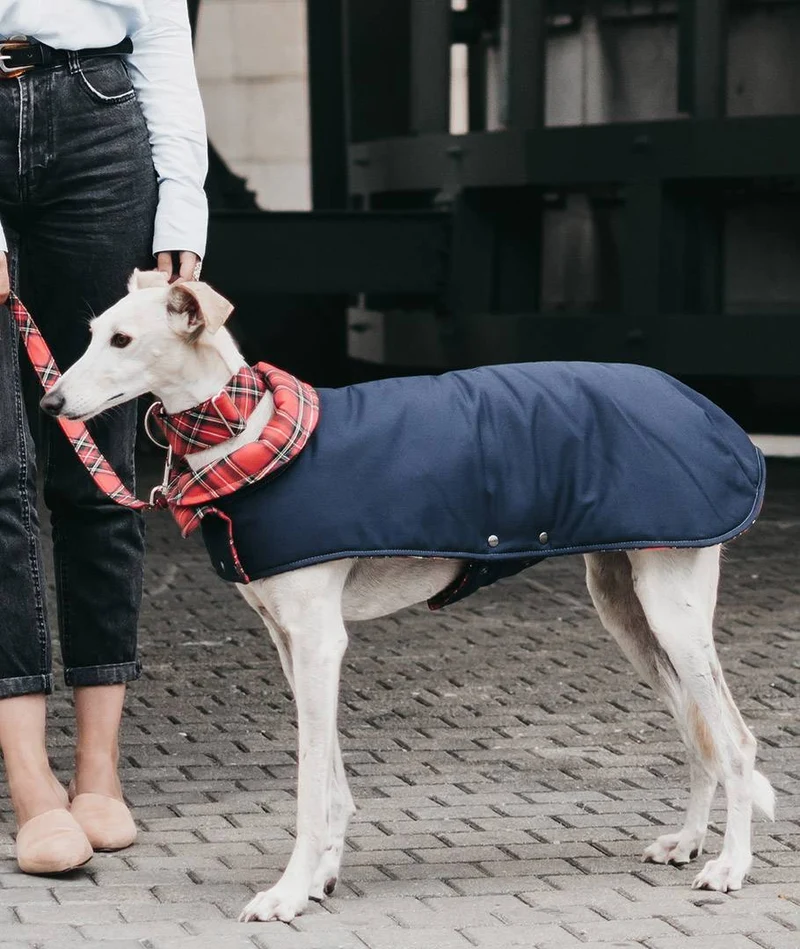 Abrigo para Galgo Blue & Tremp