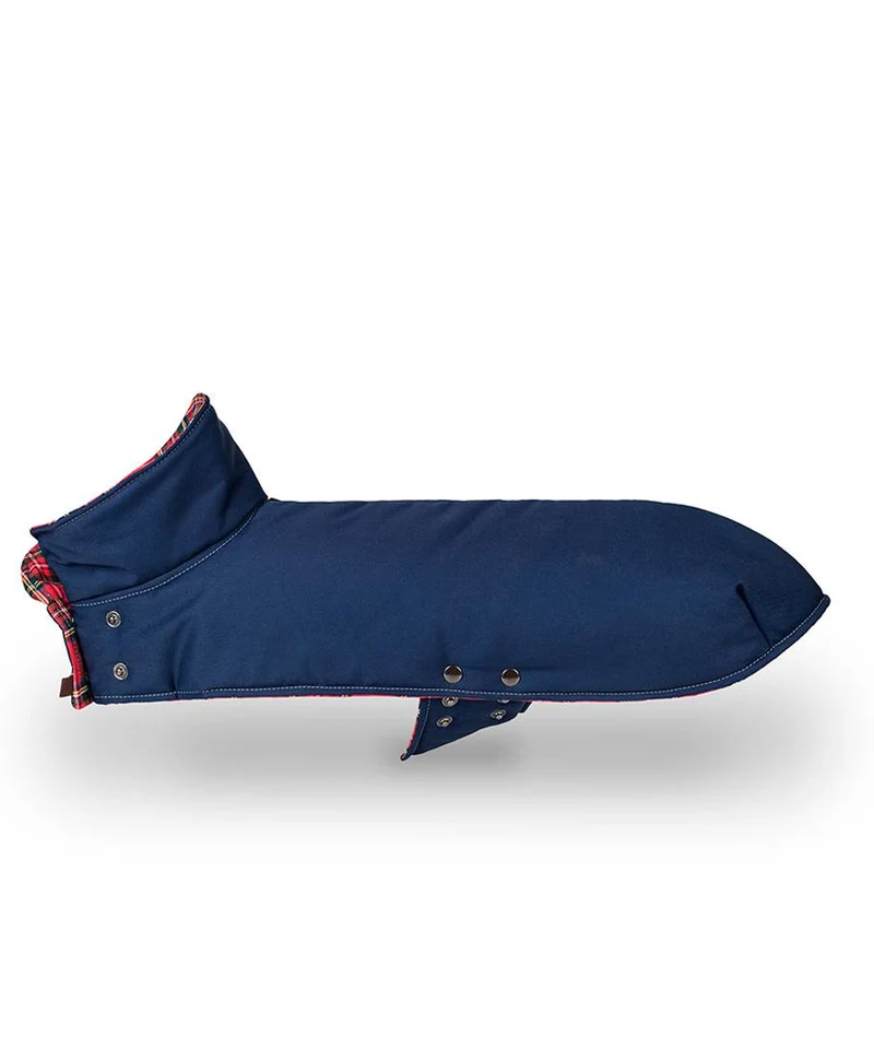 Abrigo para Galgo Blue & Tremp