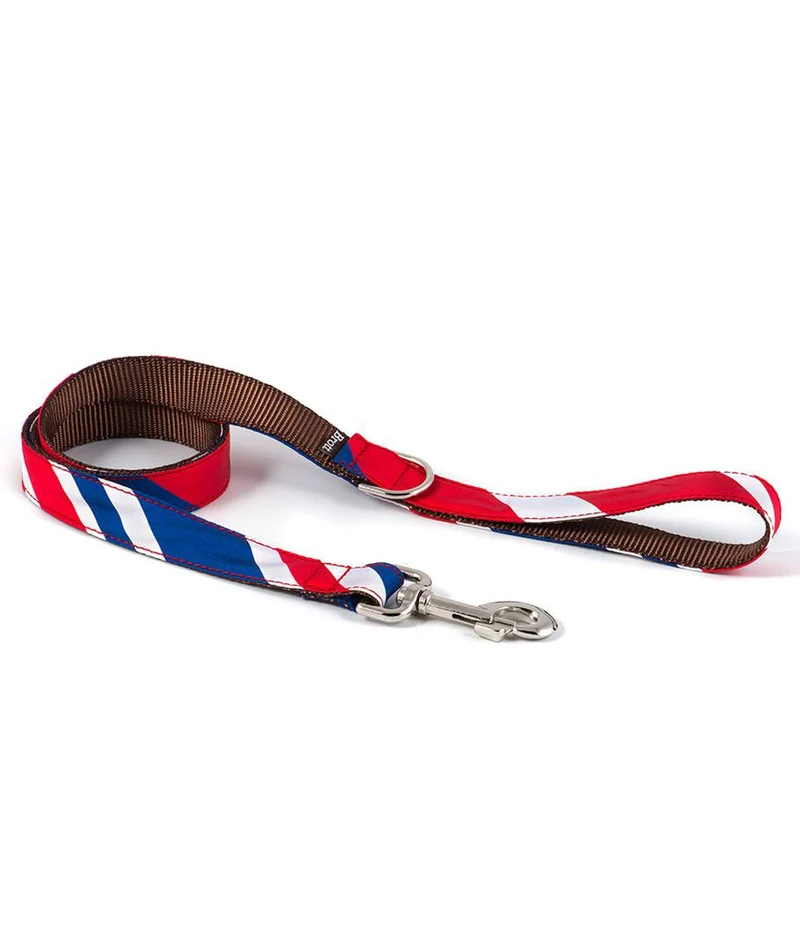 Collar para Galgo Beleser