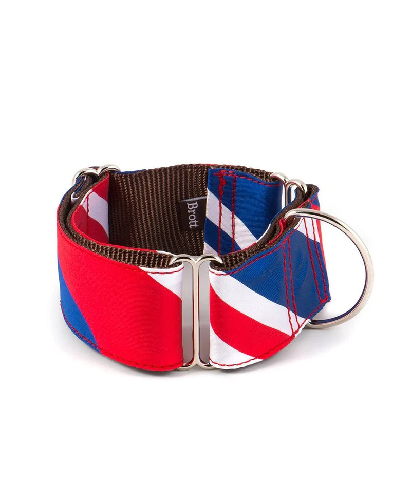 Collar para perro Beleser