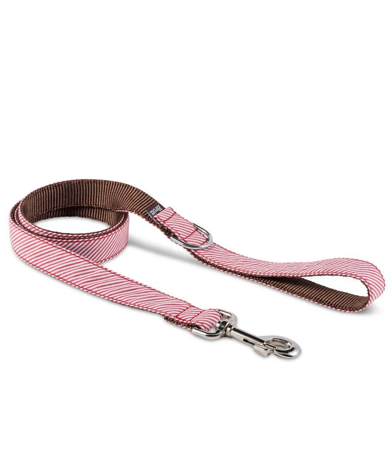 Collar para Galgo Amposta