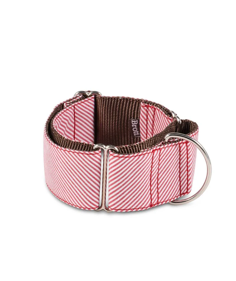 Collar para perro Amposta