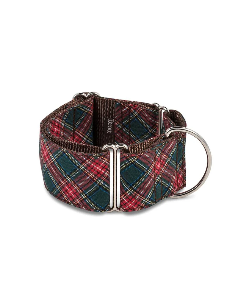 Collar para perro Beret