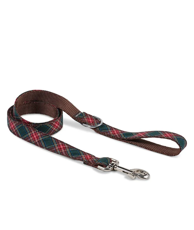 Collar para perro Beret