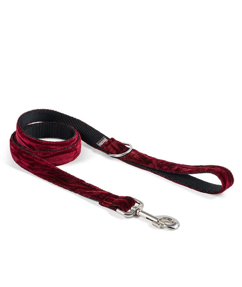 Collar para perro Biure