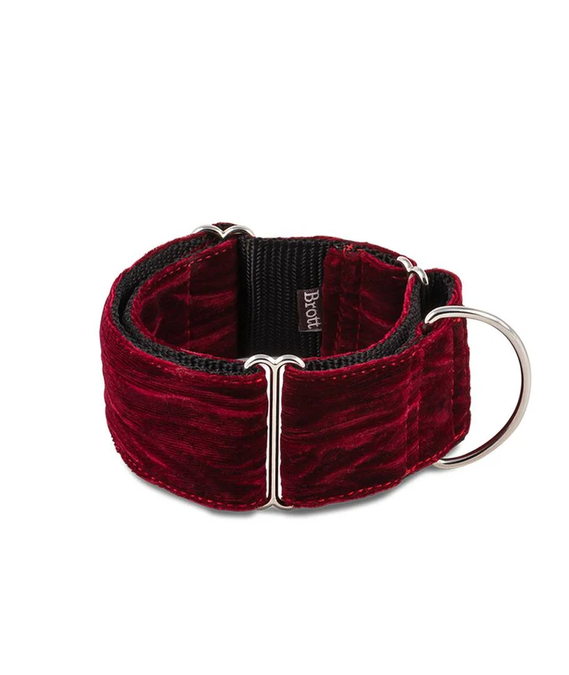Collar para perro Biure