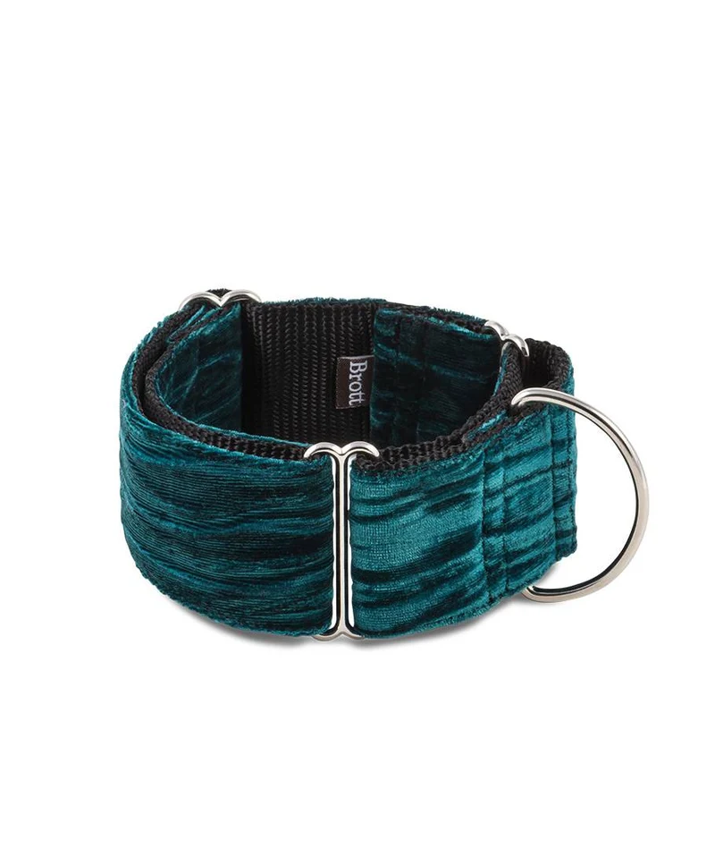Collar para perro Verdu