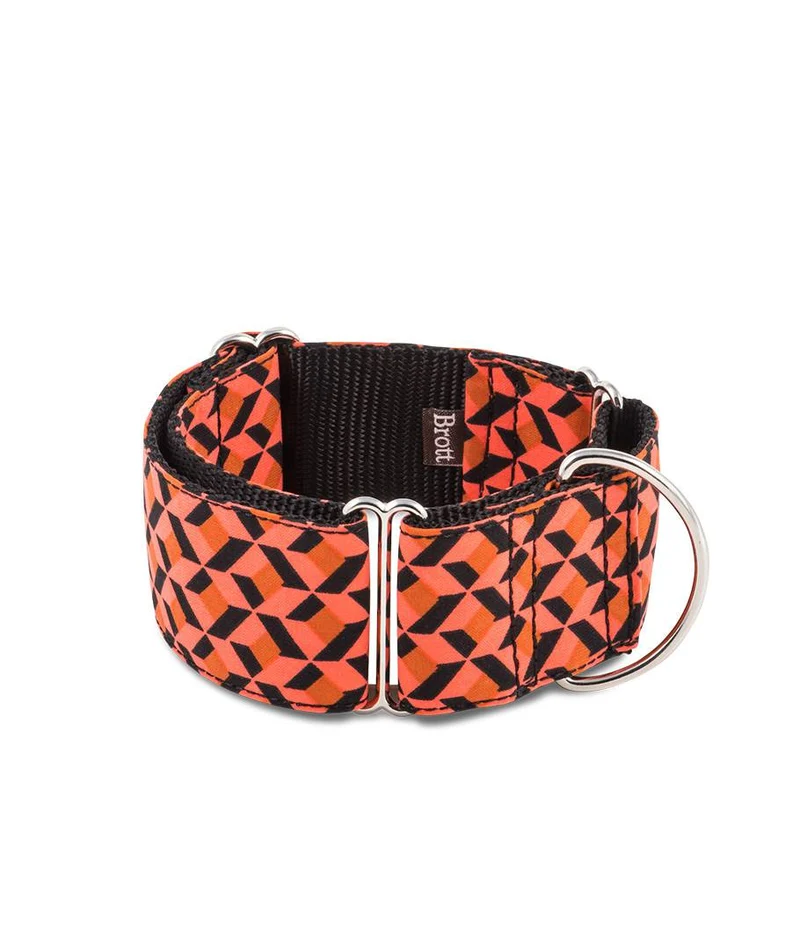 Collar para perro Er