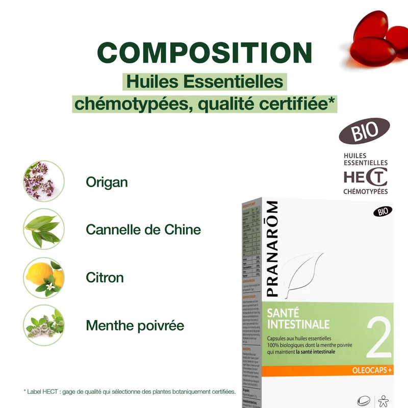 Oleocaps 2 - Santé intestinale - Bio