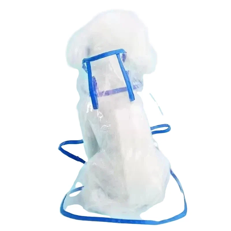 Veste de pluie transparente pour chien